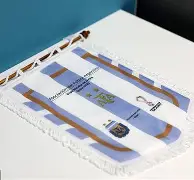 开云体云app登录入口-疯狂的奥兰多