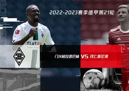 拜仁慕尼黑欧冠大名单